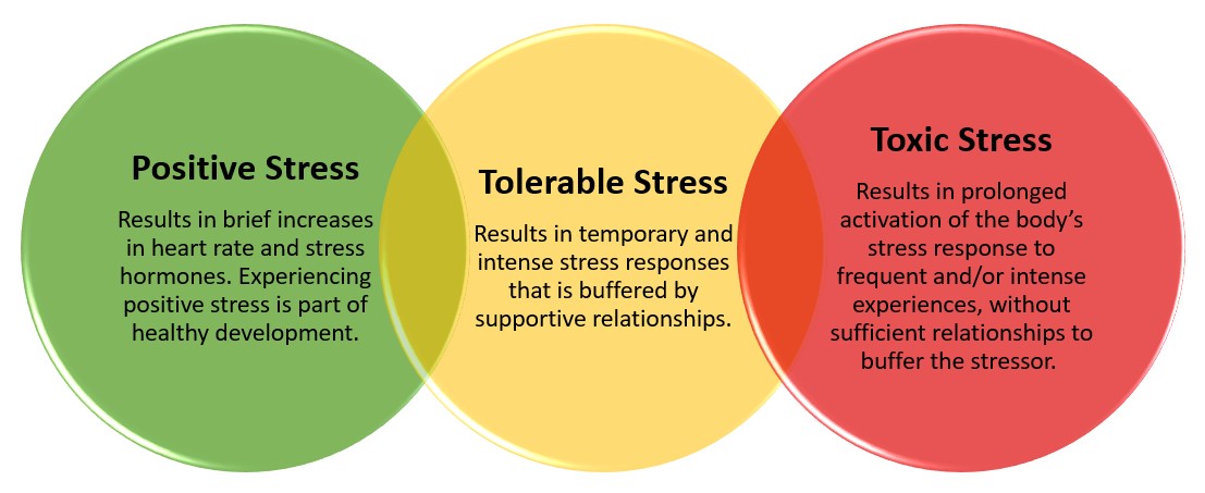 ACEs stress, positive, tolerable, and toxic diagram.