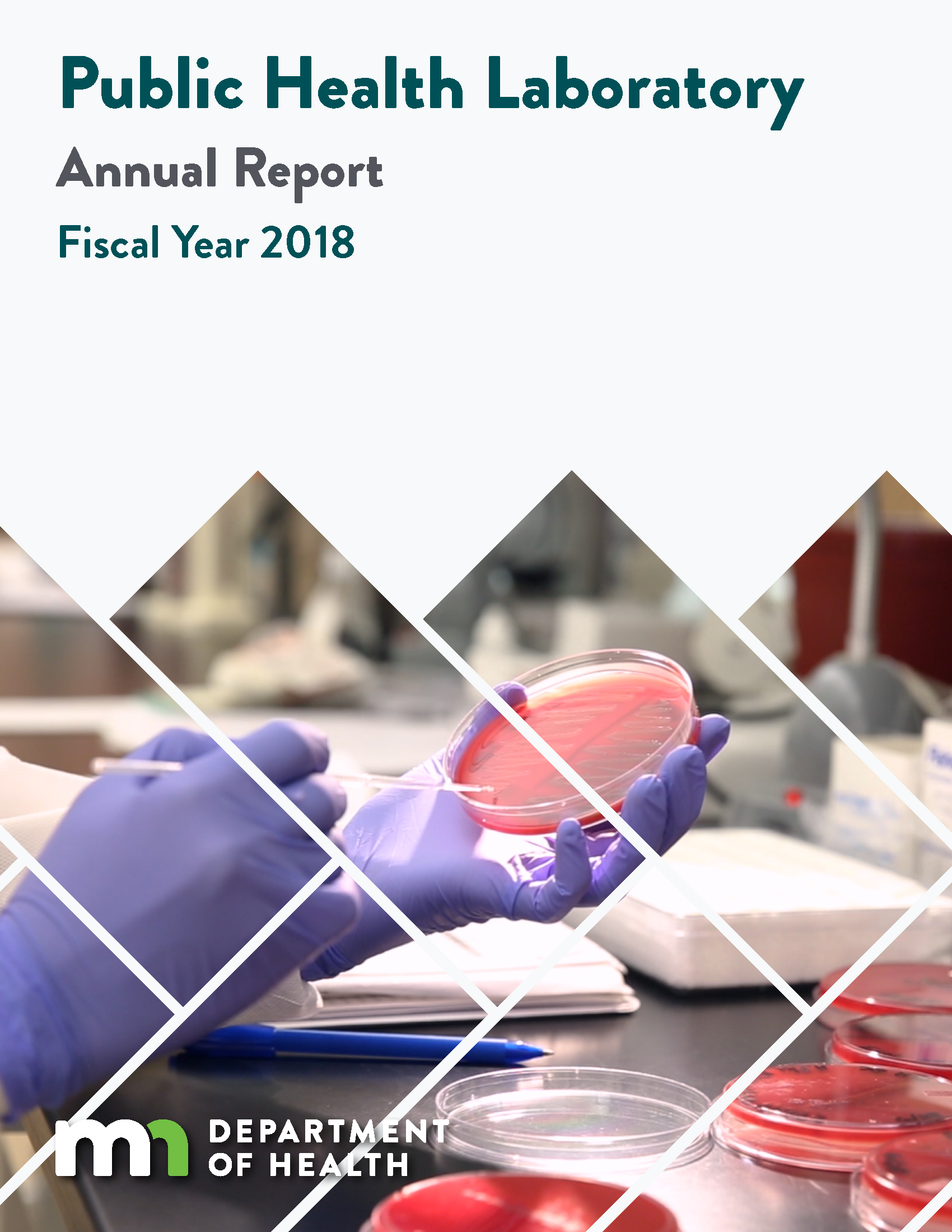 Cover of 2018 PHL Annual Report and link to the 2018 PHL Annual Report PDF