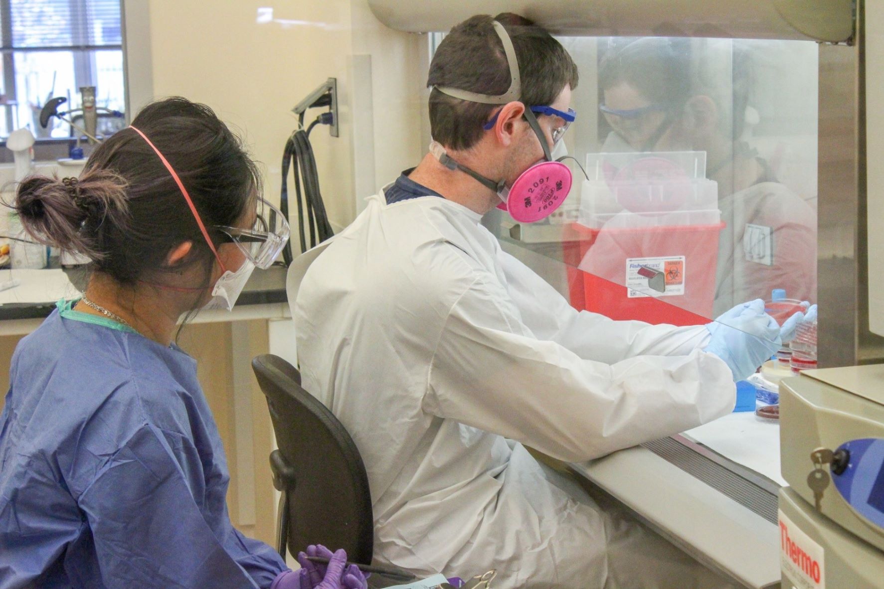 lab work