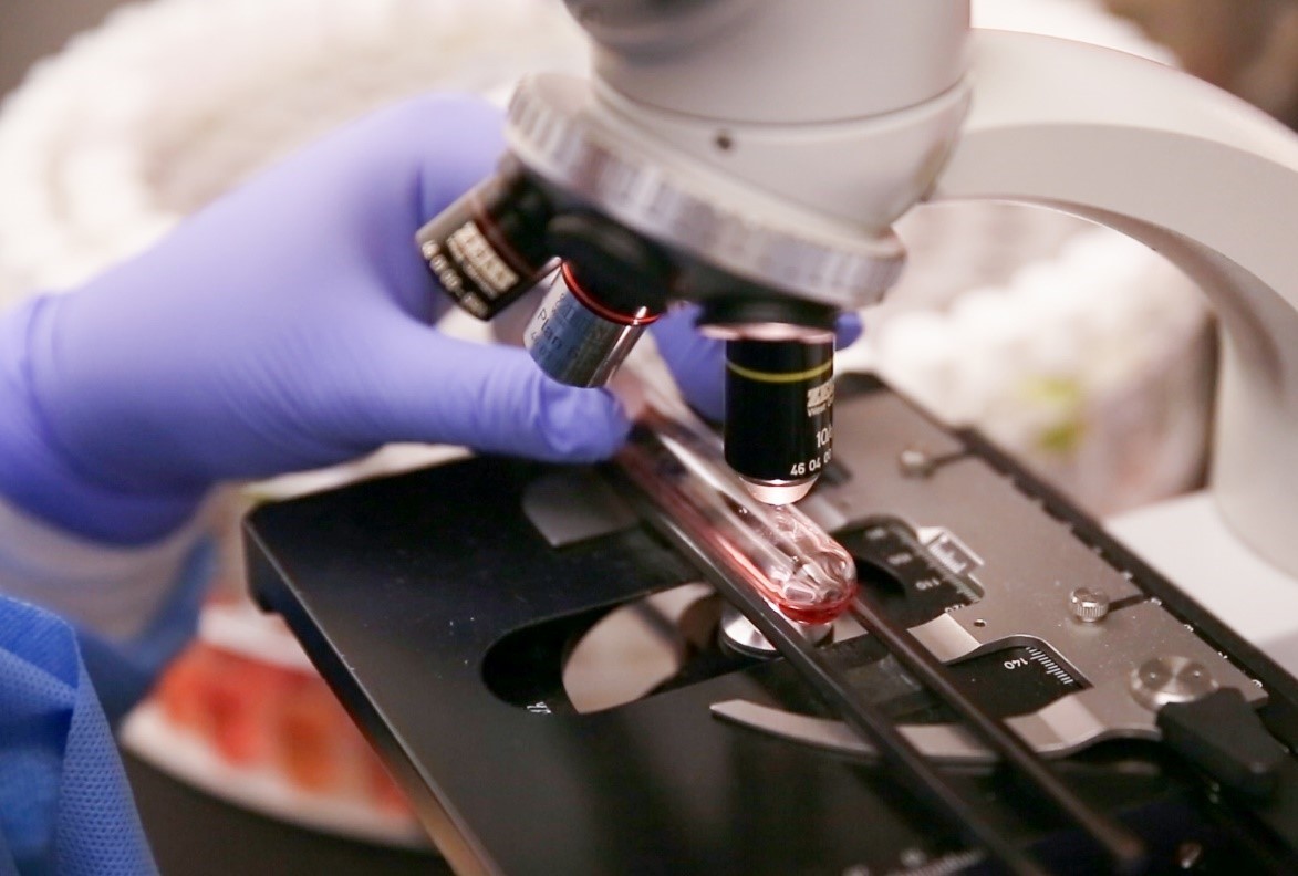 scientist using a microscope