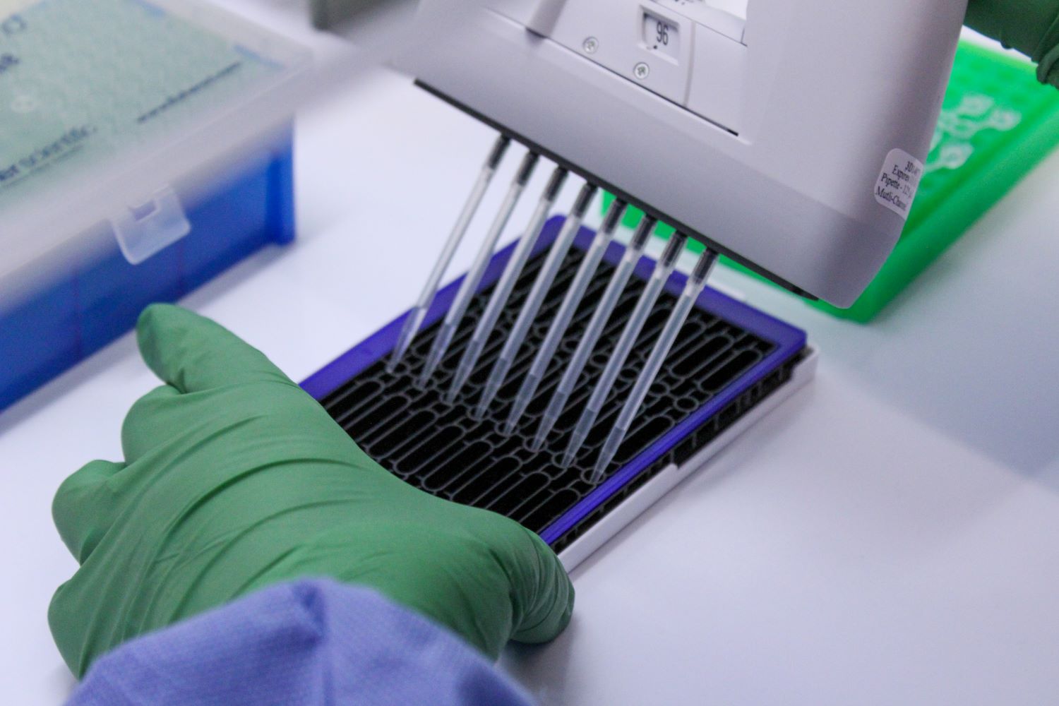 scientist pipetting a water sample