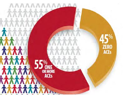 Circle graph showing that 55% of Minnesota adults have one or more ACES; 45% have zero ACES.