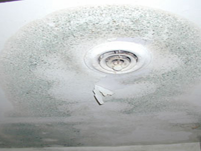 mold ceiling with exhaust fan