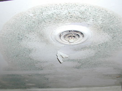 Mold In Rental Housing Eh Minnesota Department Of Health