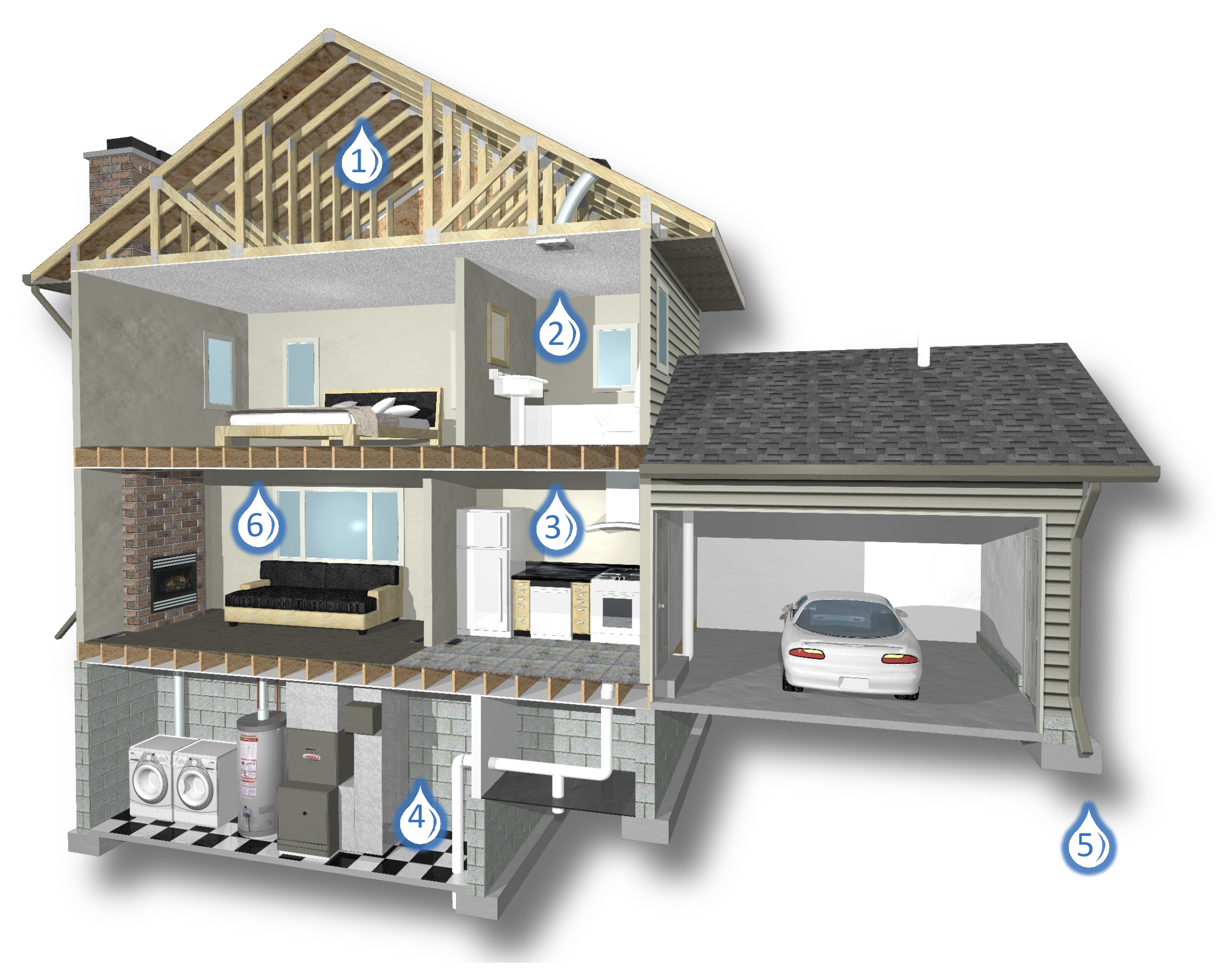 10 Signs of Mold: How to Detect Mold in Your Home?