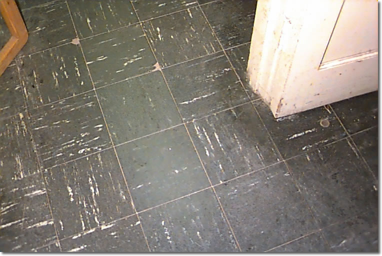 photo of floortile