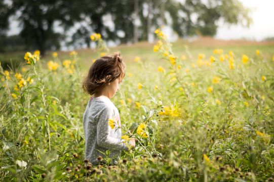 child in meadow