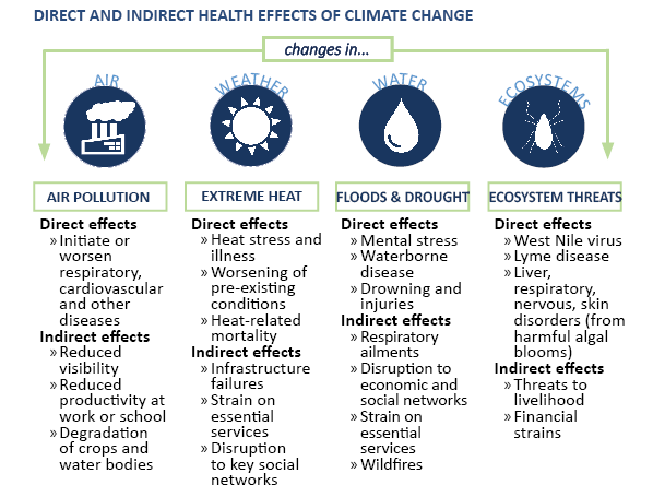 This figure is a flow diagram that shows the climate hazards relevant to the health of Minnesotans - air pollution, extreme heat, floods and droughts, and ecosystem threats.