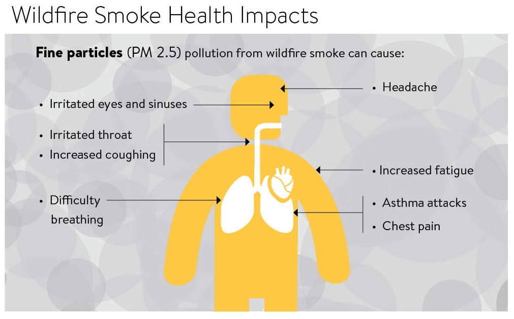 wildfire smoke health impacts graphic