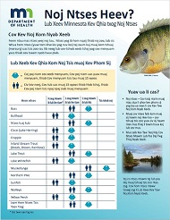 Eat Fish Often - Hmong version