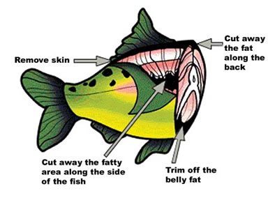 Remove the skin, cut away the fat along the back, trim off the belly fat, cut away the fatty area along the side of the fish