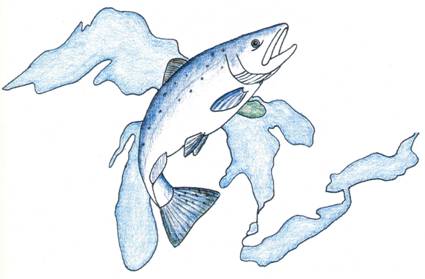 Logo for the Great Lakes Consortium for Fish Consumption Advisories