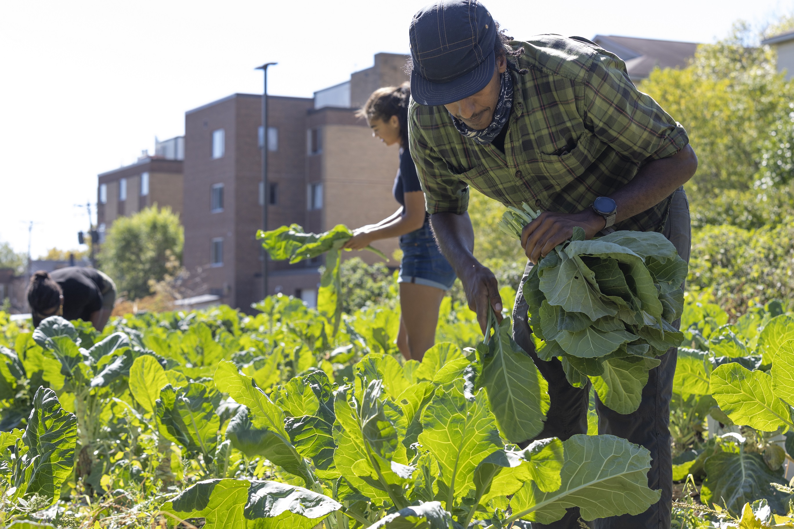 People working in a garden near an apartment building; Source- Minnesota Department of Agriculture