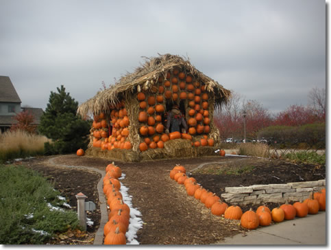 Pumpkin display at the Minnesota Landscape Arboretum