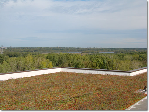 Burnsville green roof