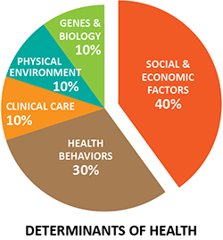 Pie chart of the social determinants of health: genes and biology 10%, physical environment 10%, clinical care 10%, health behaviors 30%, social and economic factors 40%