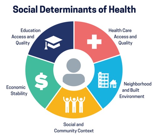 Social Determinants of Health circle graph.