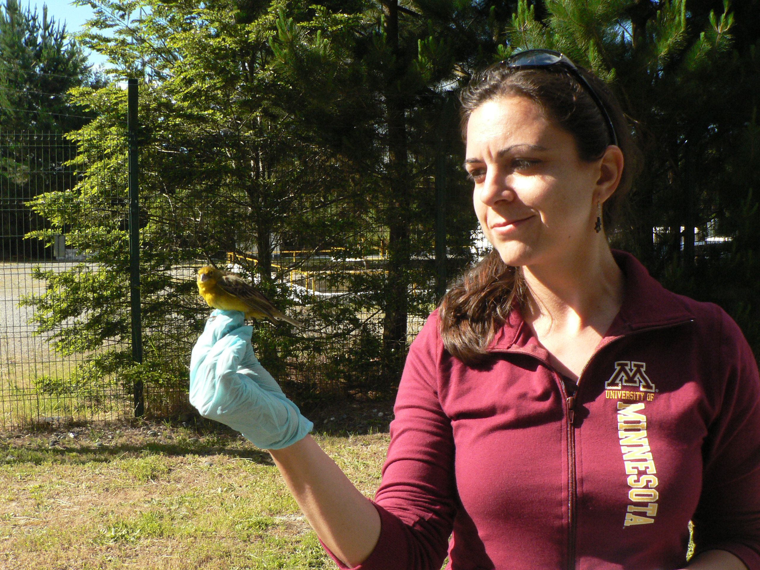 Irene Bueno Padilla, DVM, MPH, PhD