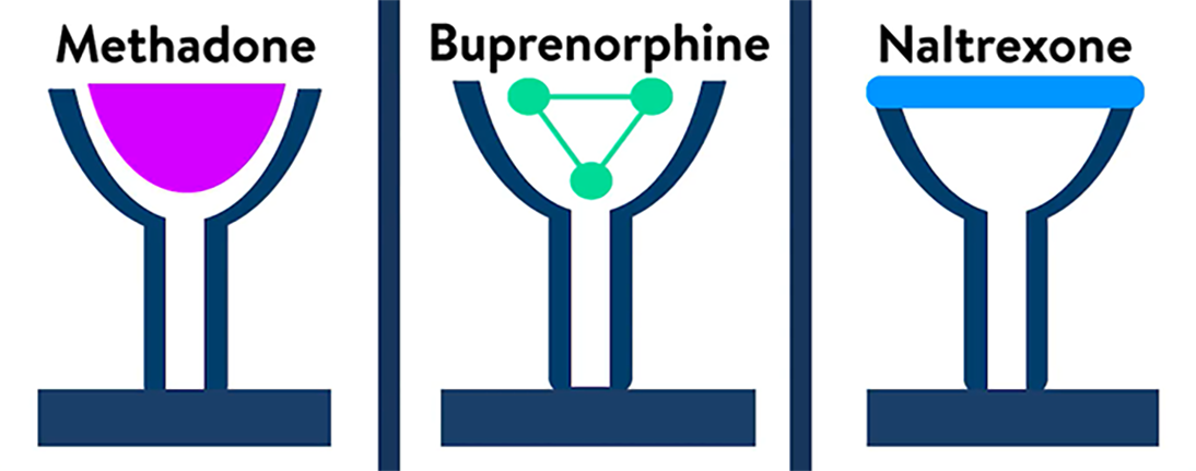 Diagram showing the 3 types of available medications for opioid use disorder: methadone, buprenorphine, and naltrexone.