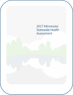 2017 Minnesota Statewide Health Assessment PDF