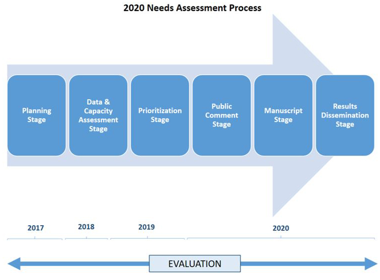 2020 Needs Assessment Process flow chart