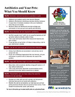 Minnesota Fact Sheet: Antibiotics and Your Pets: What You Should Know