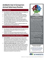 Minnesota Fact Sheet: Antibiotic Use in Companion Animal Veterinary Practice