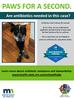 Poster template: Paws for a second. Are antibiotics needed in this case?