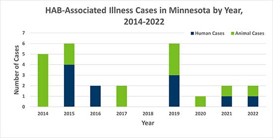 HAB-Associated Illness Cases in Minnesota by Year, 2014-2022