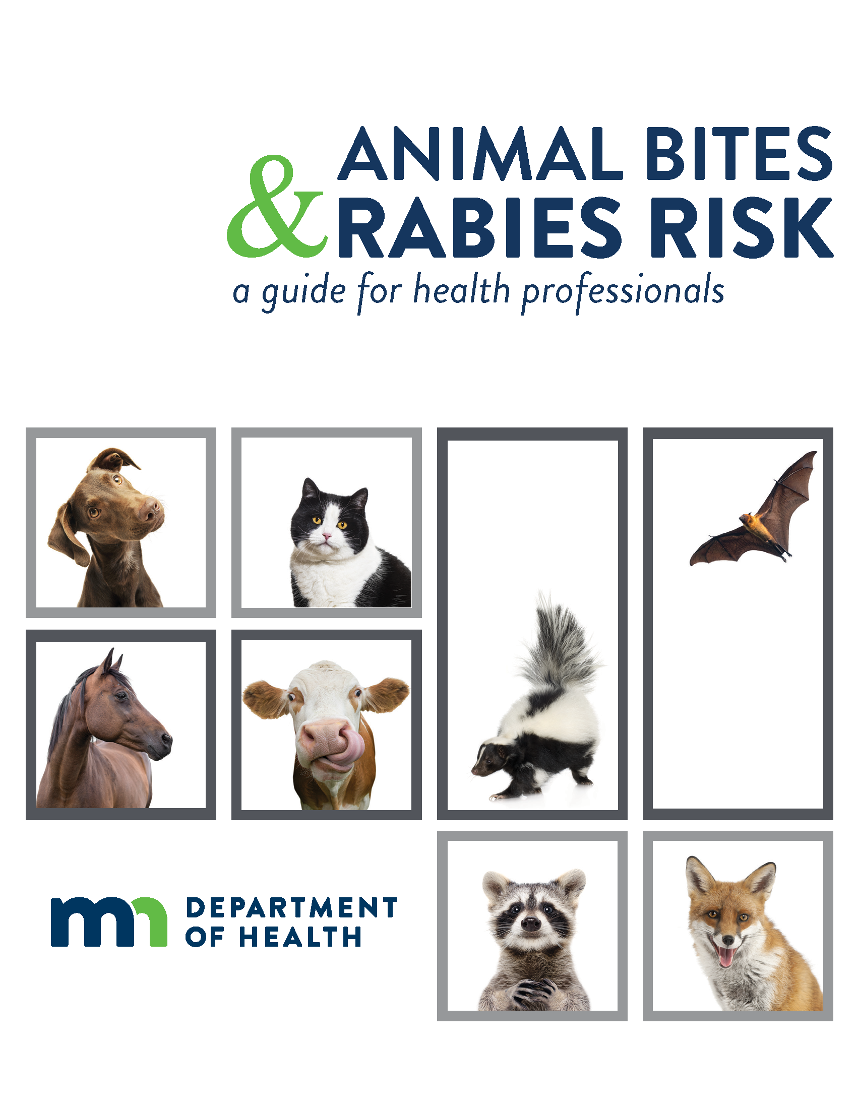 Animal Bites and Rabies Risk