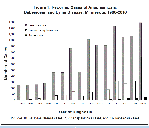 Figure 1. Reported Cases of Anaplazmosis, Babesiosis, and Lyme Disease, Minnesota 1996-2009