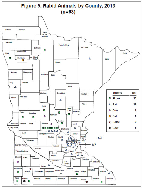 figure five shows rabies cases by minnesota county