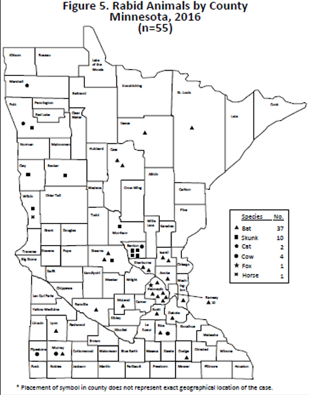 rabid animals by county