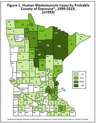figure two shows map of minnesota with cases by county