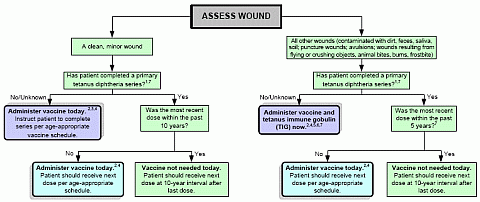 Summary guide to tetanus prophylaxis in routine wound management flow chart.