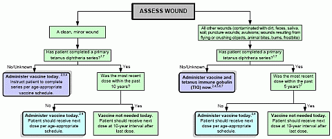 Wound Management Chart