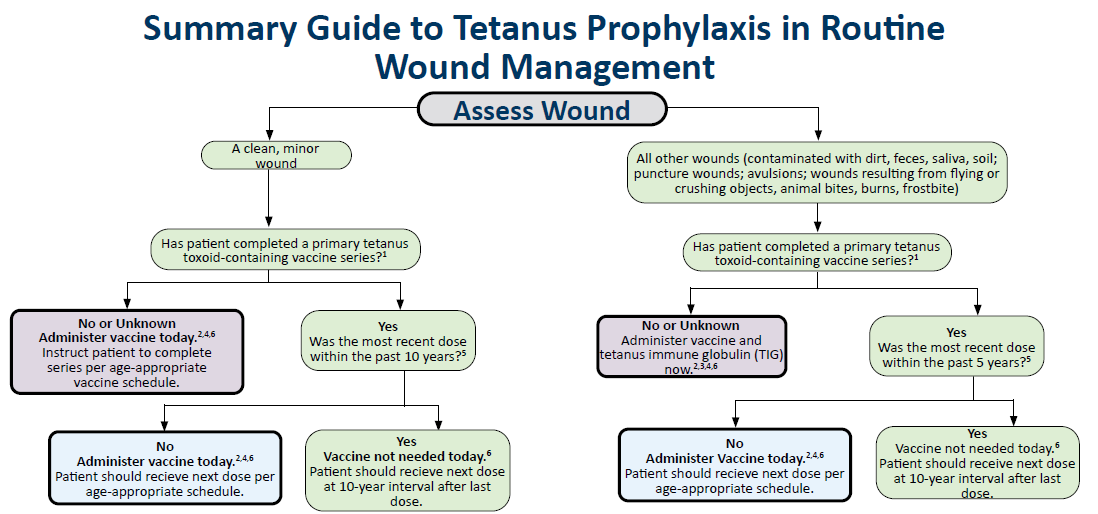 Summary guide to tetanus prophylaxis in routine wound management flow chart.