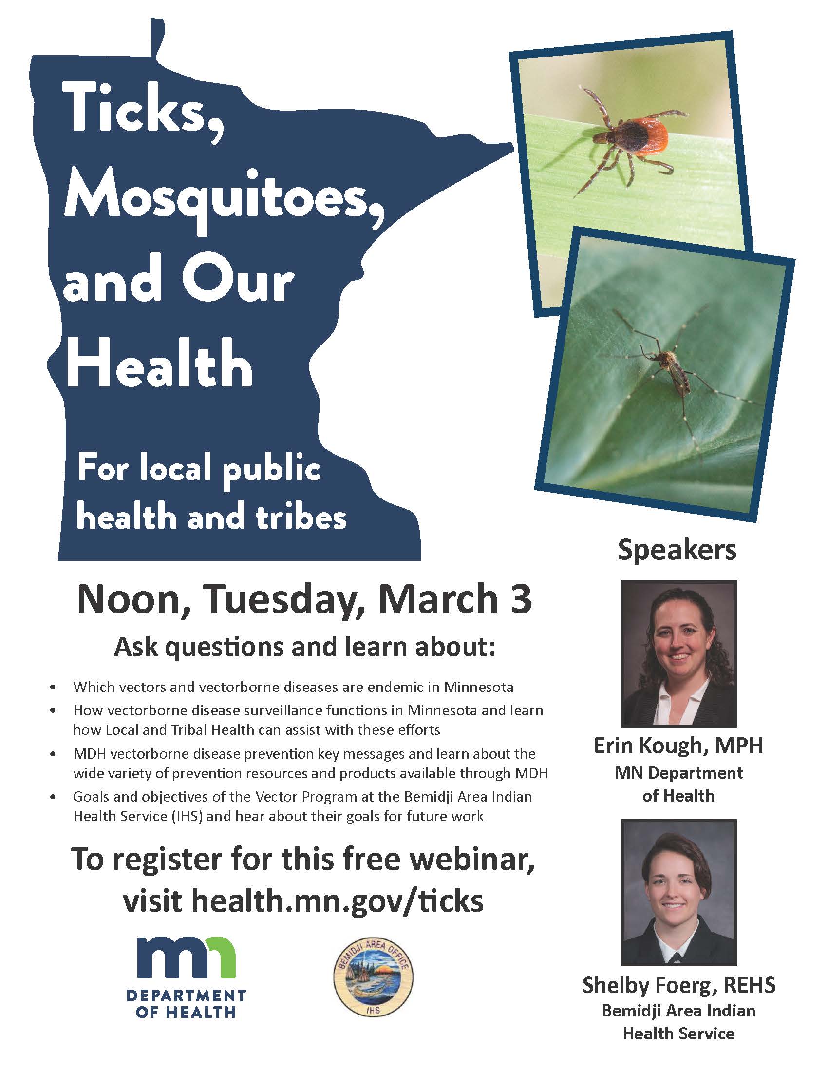 flyer for local public health webinar