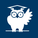 Owl wearing a graduation cap graphic