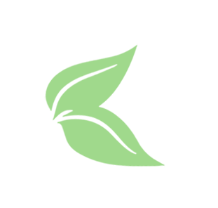 green leaf