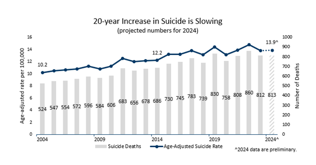 chart showing 20-year increase in suicide is slowing