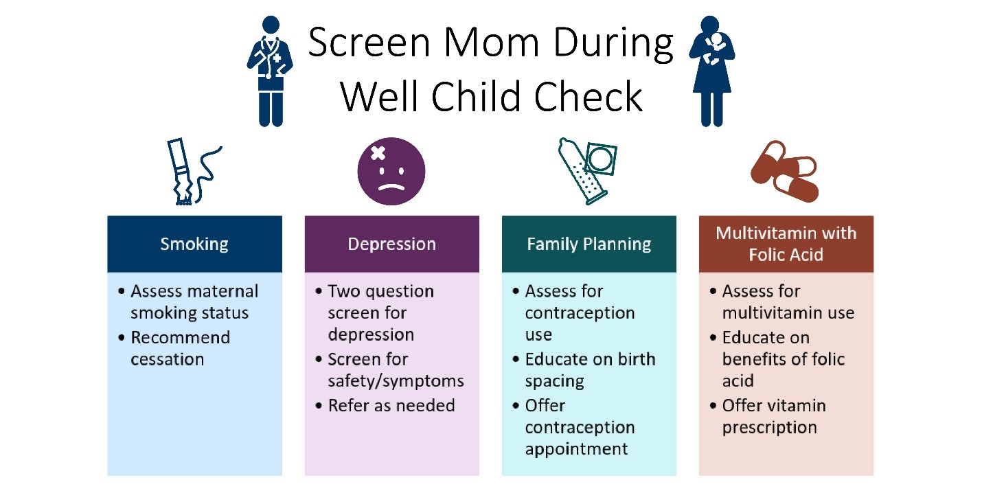 4 Screening areas of the IMPLICIT model: Smoking, Depression, Family Planning and Vitamin with Folic Acid