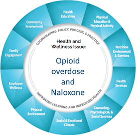 The WCSS model is CDC's framework for adressing health in schools