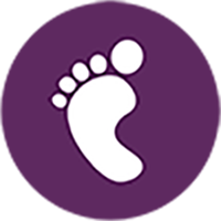 Newborn Blood spot screening icon