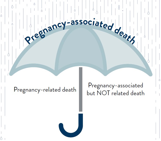 Pregnancy associated death umbrella graphic.
