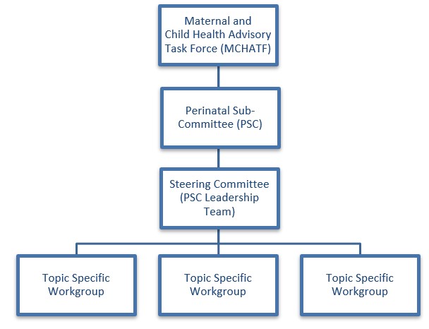 Perinatal Sub-Committee Structure
