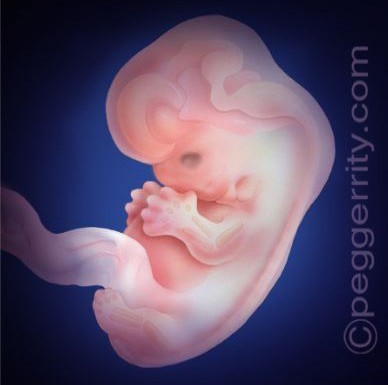 8 Weeks