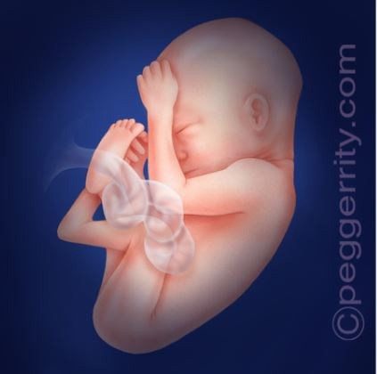 is abortion painful is abortion painful