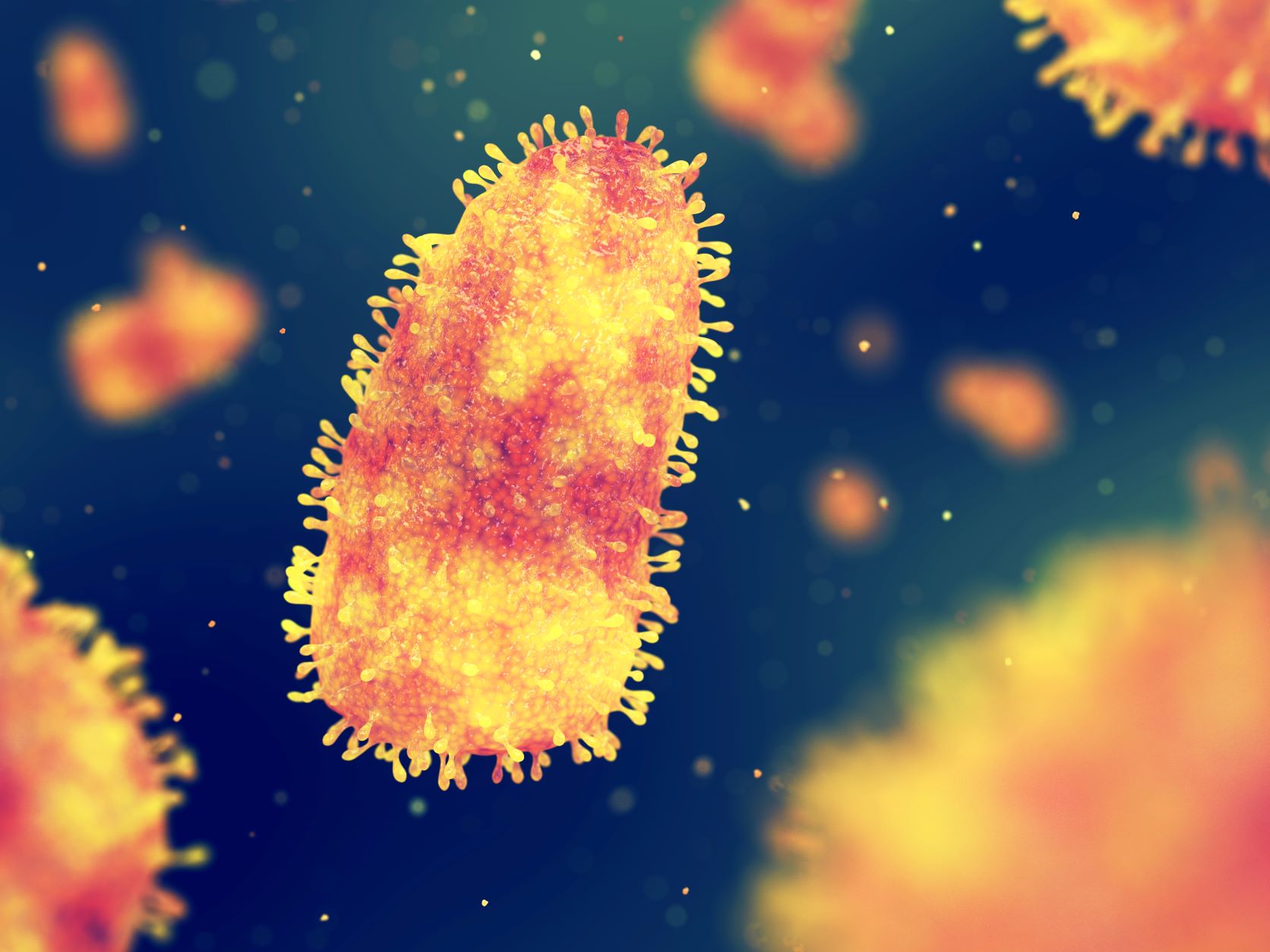 rabies virus