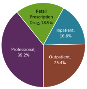 Pie graph, 18.9% retail prescription drug, 16.6% inpatient, 25.4% outpatient, 39.2% Professional.
